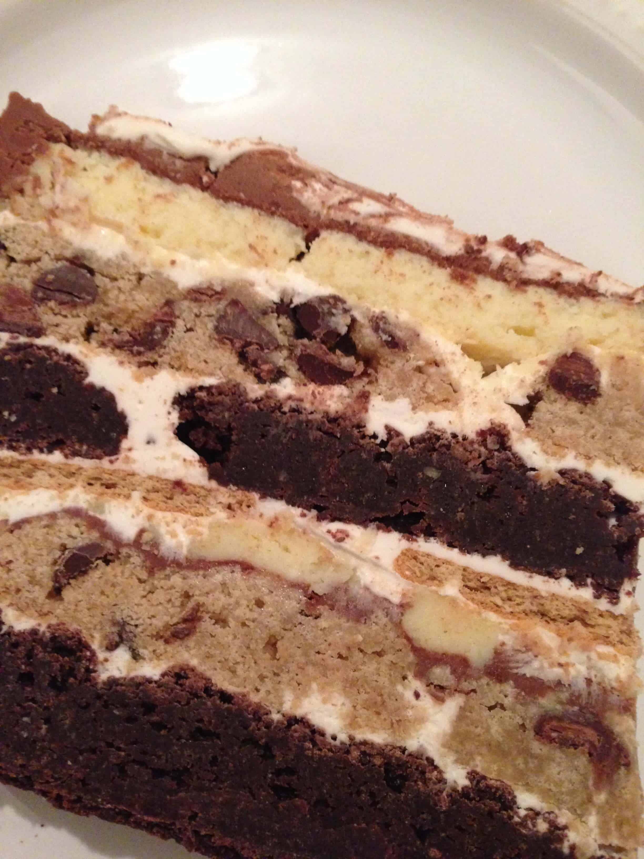 image of a slice of Seven Layer S'mores Cake