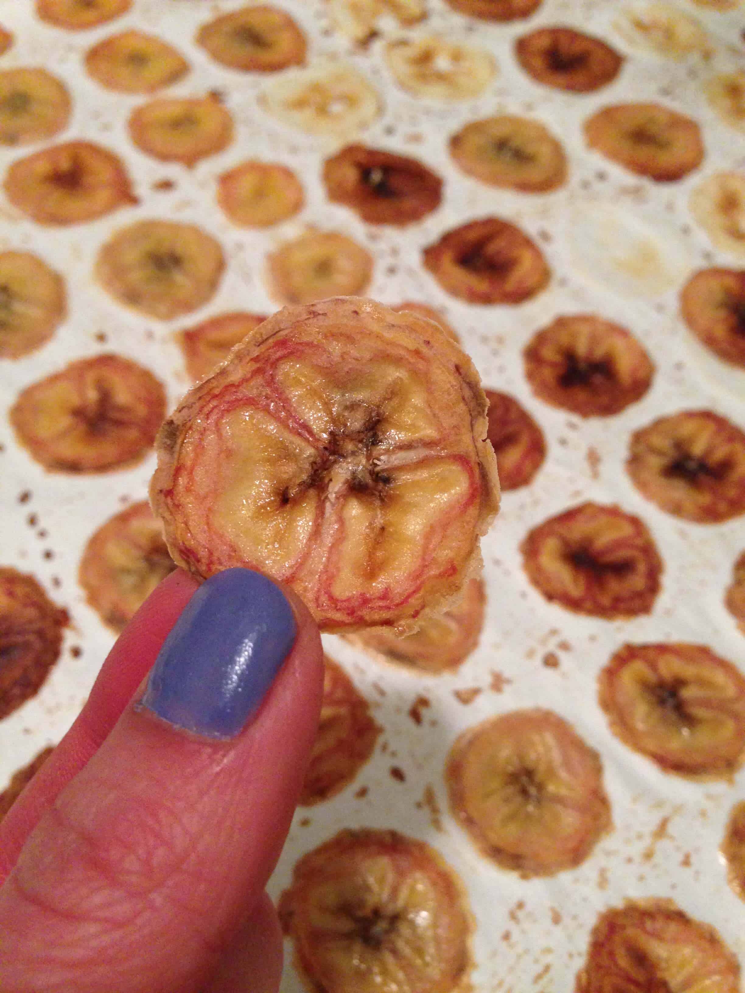 image of homemade banana chips baked in an oven