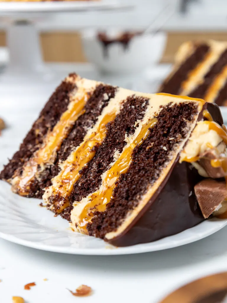 image of a slice of chocolate snickers cake on a plate