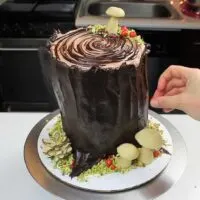 image of festive yule log cake