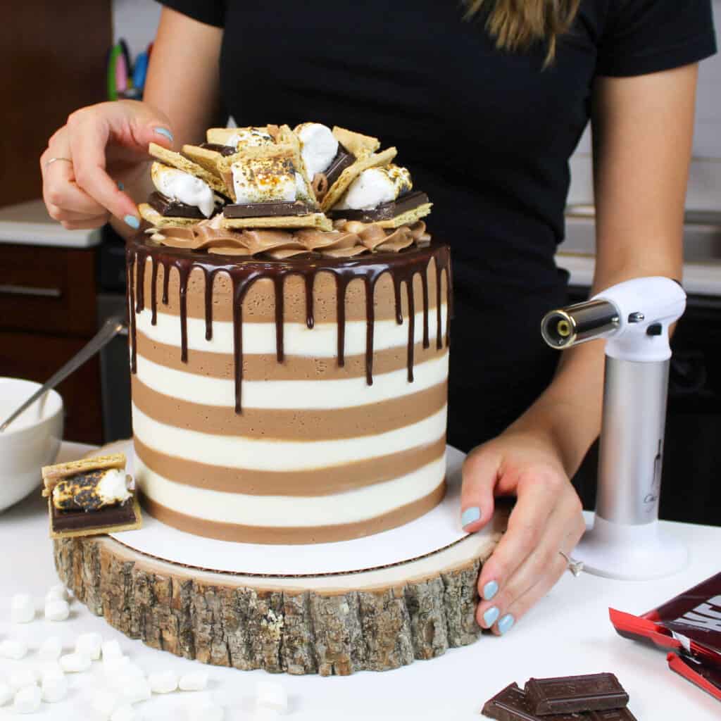 image of a chocolate s'mores cake