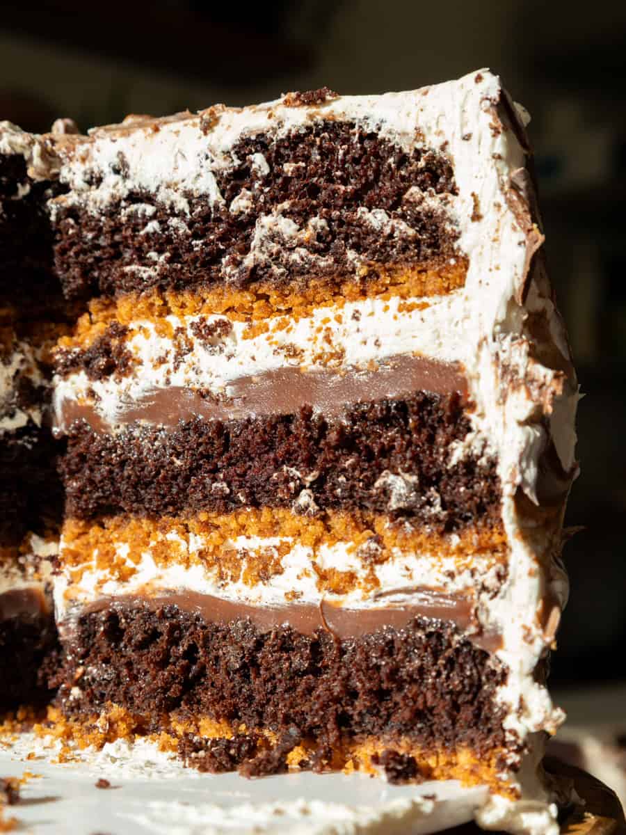 image of a smores cake that's been filled with milk chocolate ganache and toasted meringue buttercream