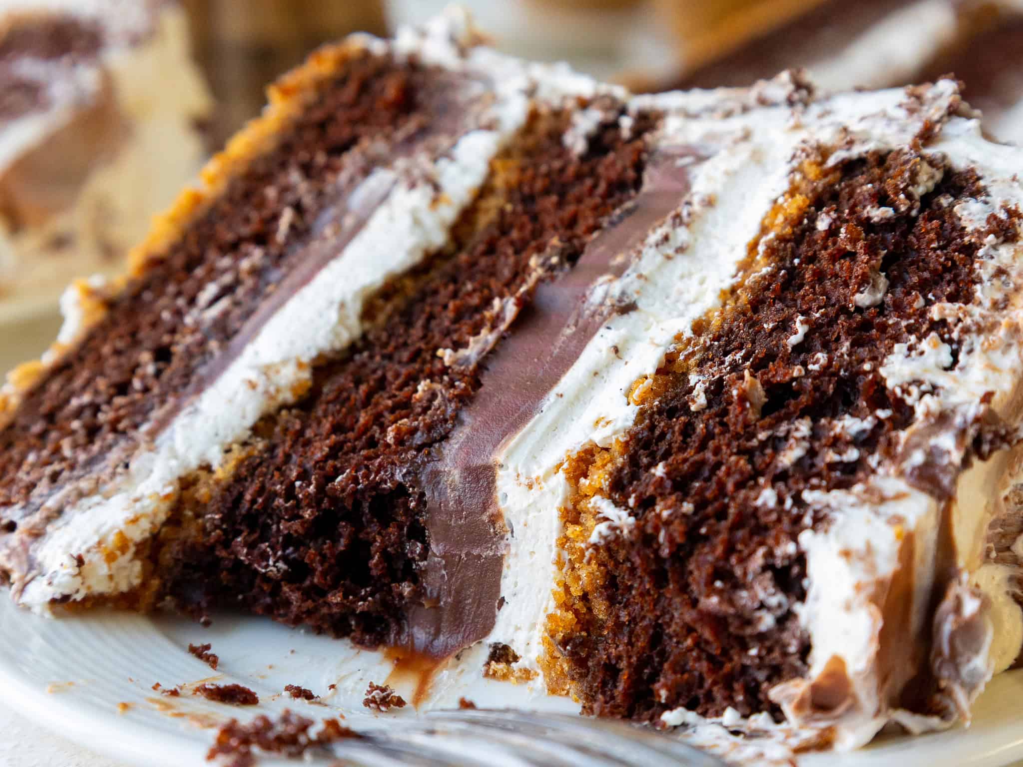 image of a smores cake that's been filled with milk chocolate ganache and toasted meringue buttercream