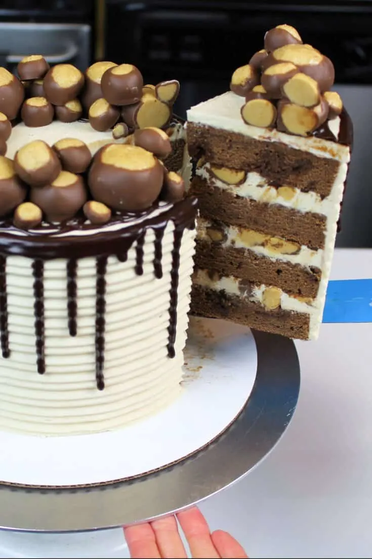 image of buckeye cake being cut into to show it's peanut butter frosting and tender chocolate cake layers