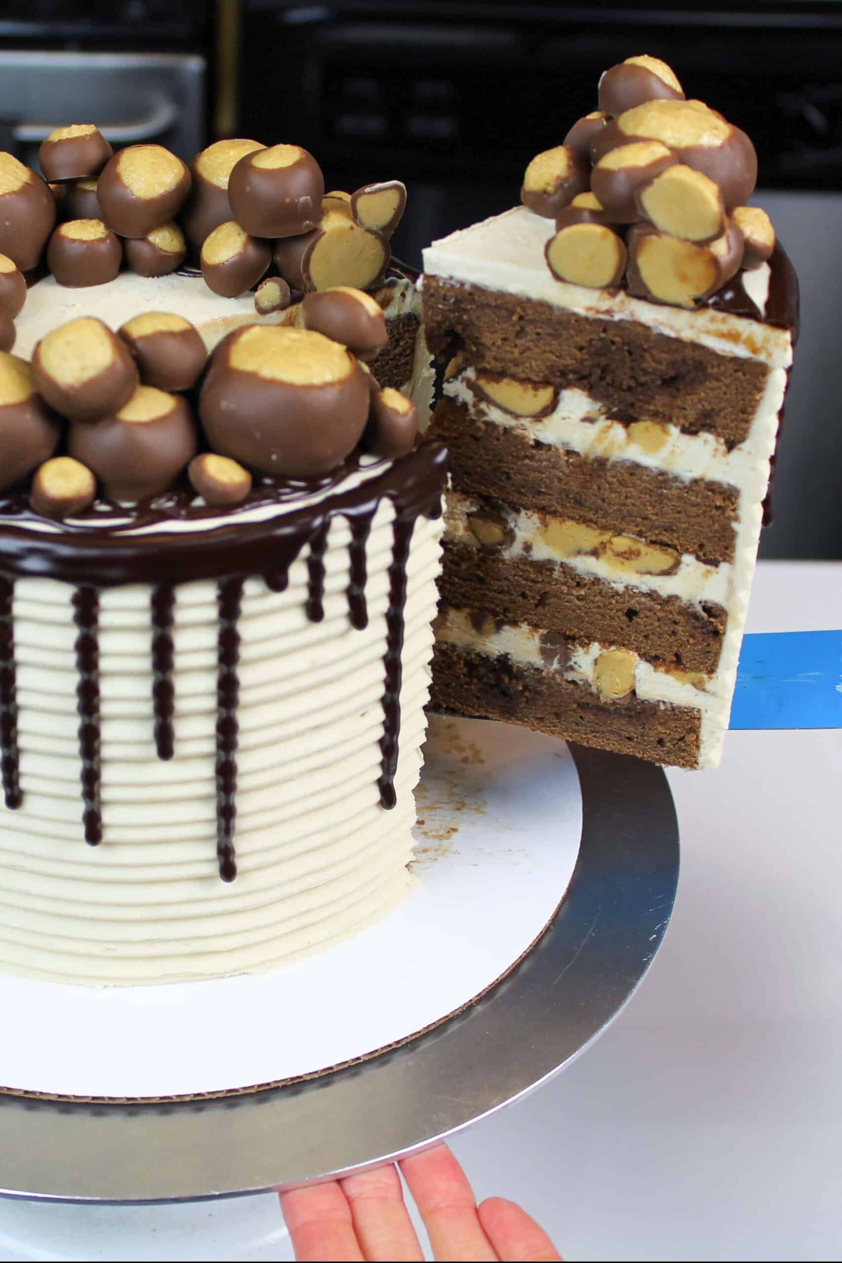 image of buckeye cake being cut into to show it's peanut butter frosting and tender chocolate cake layers