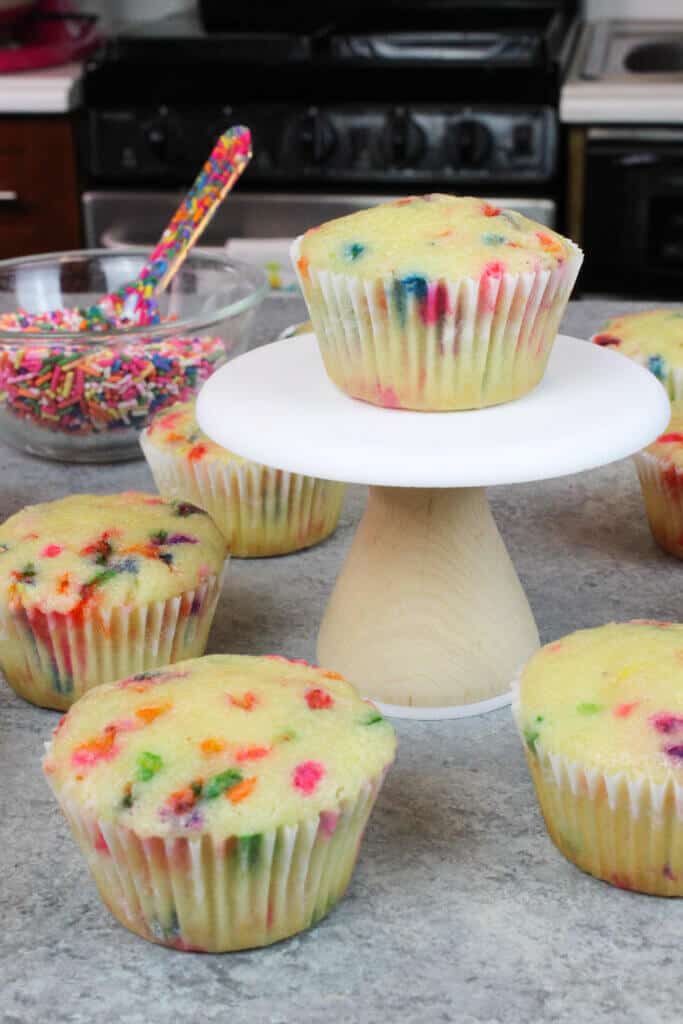 photo of unfrosted funfetti cupcakes
