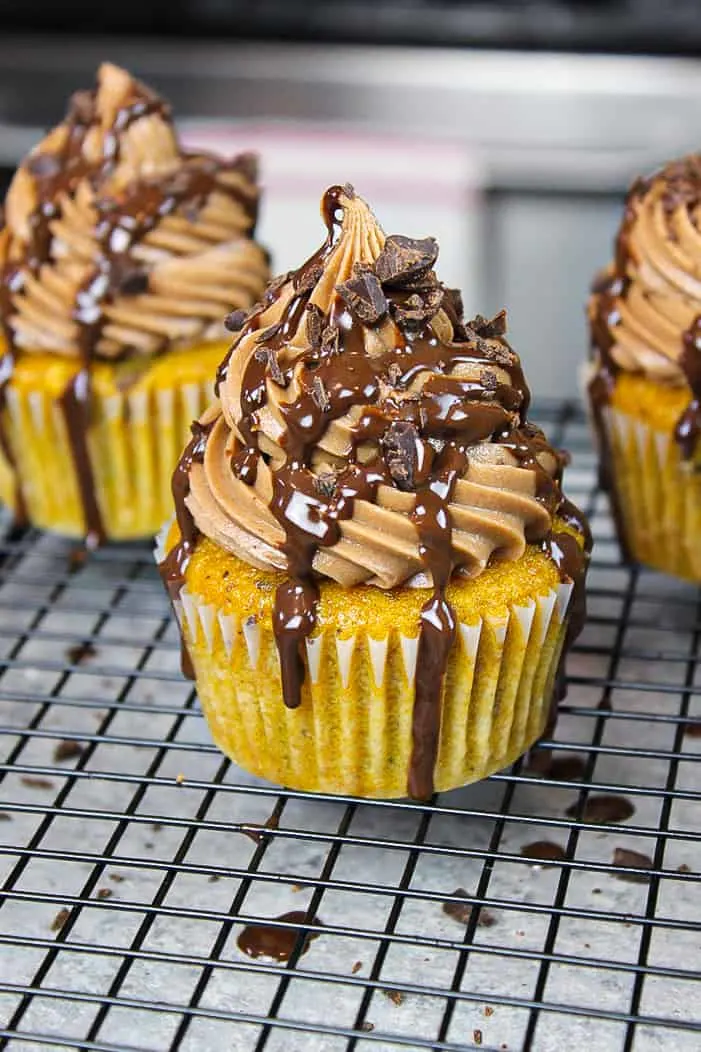 image of chocolate chip pumpkin cupcakes frosted with chocolate cream cheese frosting