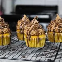 image of pumpkin cupcakes with chocolate frosting