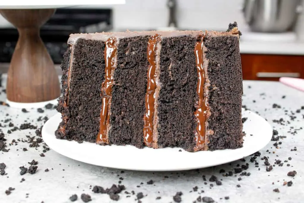 image of a slice of a moist, pudding filled chocolate blackout cake