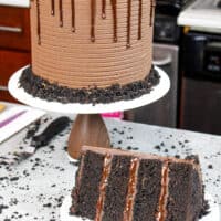 image of chocolate blackout cake, sliced into to show moist chocolate cake layers with pudding and ganache filling
