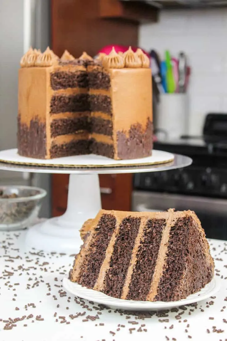 image of gluten free chocolate cake with slice cut out