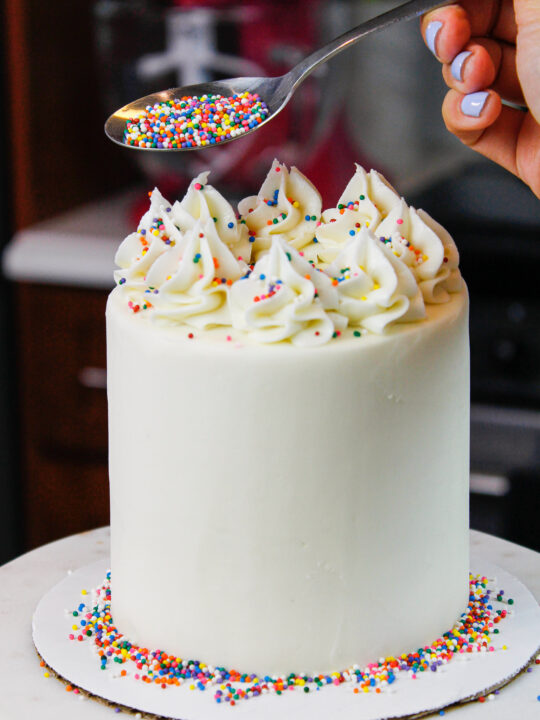 Mini Vanilla Cake Recipe: Simple 4 Inch Layer Cake - Chelsweets