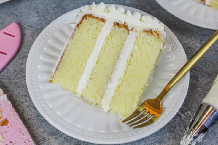 image of gluten free vanilla layer cake slice