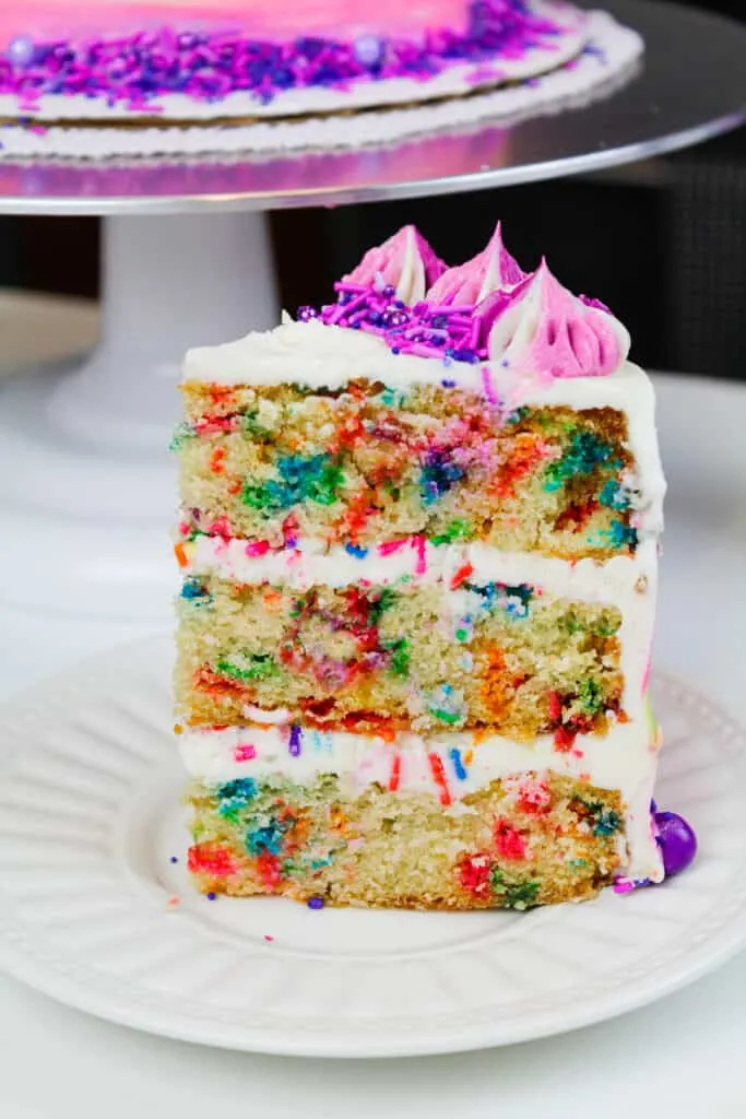 image of a slice of vegan layer cake