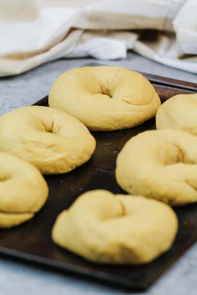 image of homemade bagels resting and rising before being boiled and baked
