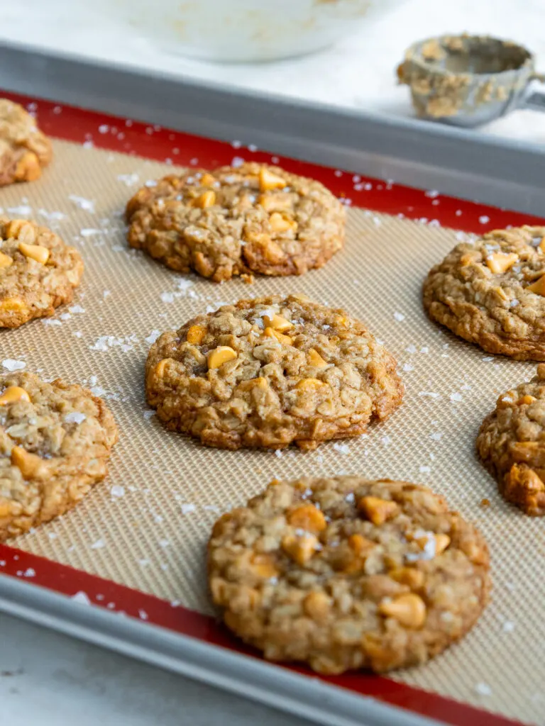 image of oatmeal scotchies that are cooling on a baking sheet