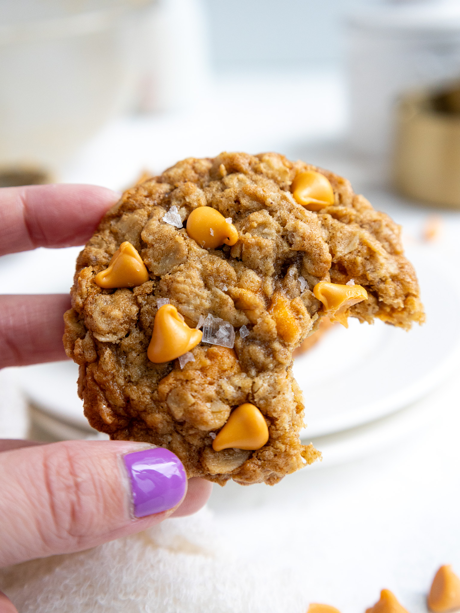image of an oatmeal scotchie cookie that has been bitten into to show how chewy and soft it is