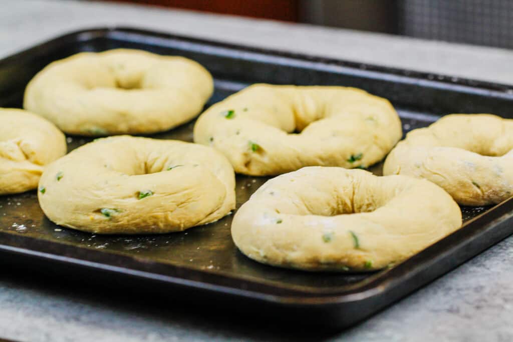image of jalapeno cheddar bagels resting before being topped with cheddar cheese and baked
