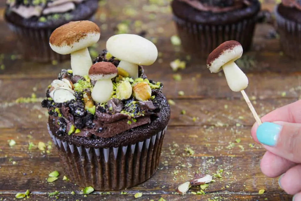 image of forest themed cupcake make with marzipan mushrooms