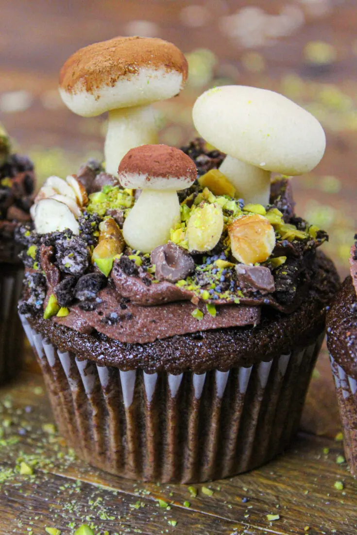image of mushroom cupcake decorated with marzipan mushrooms for a forest wilderness party