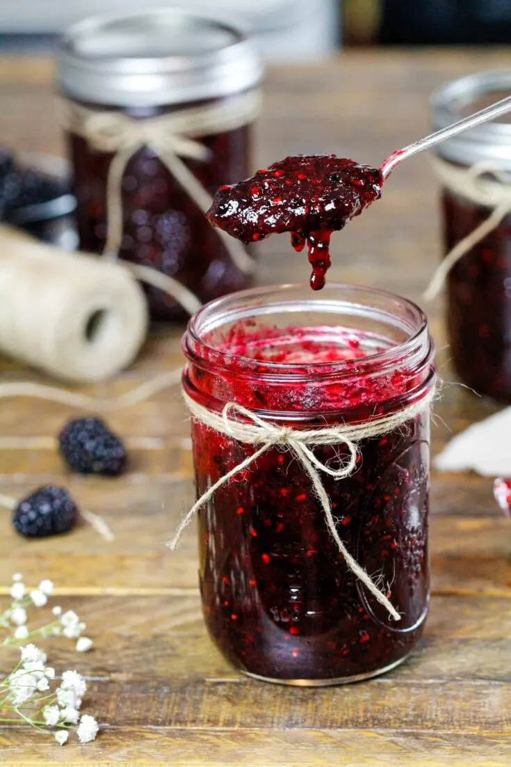 image of blackberry freezer jam