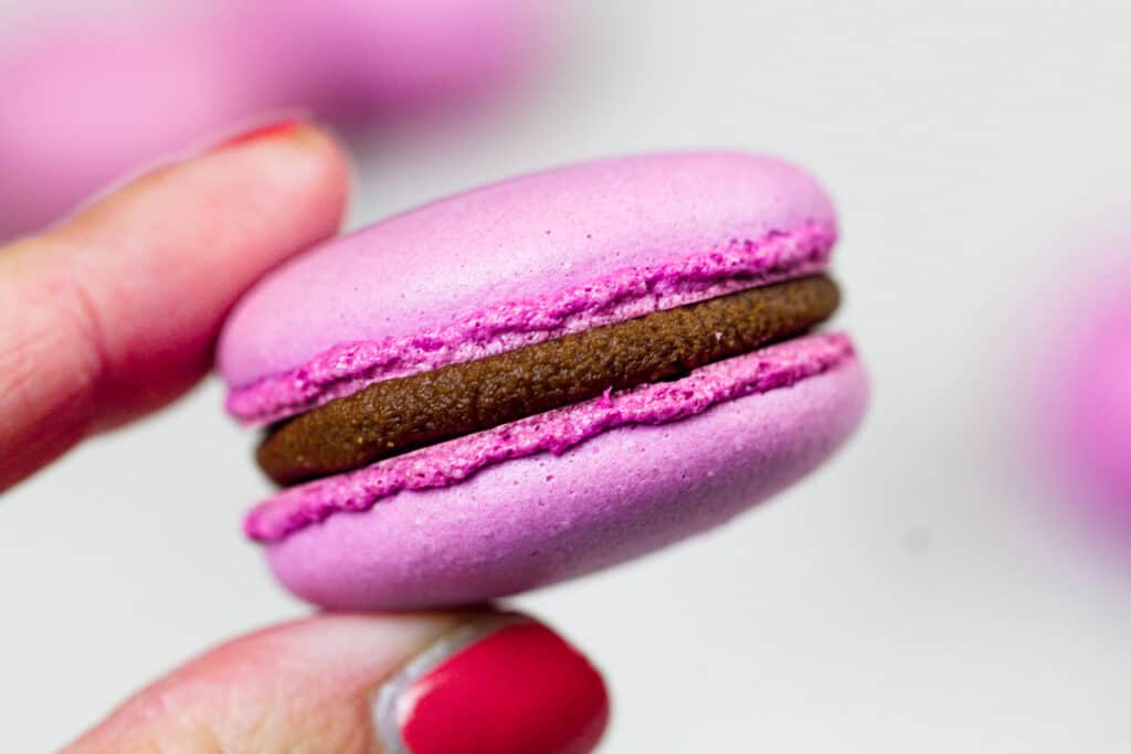 holding an italian macaron up close to  show its perfect feet and chocolate ganache filling