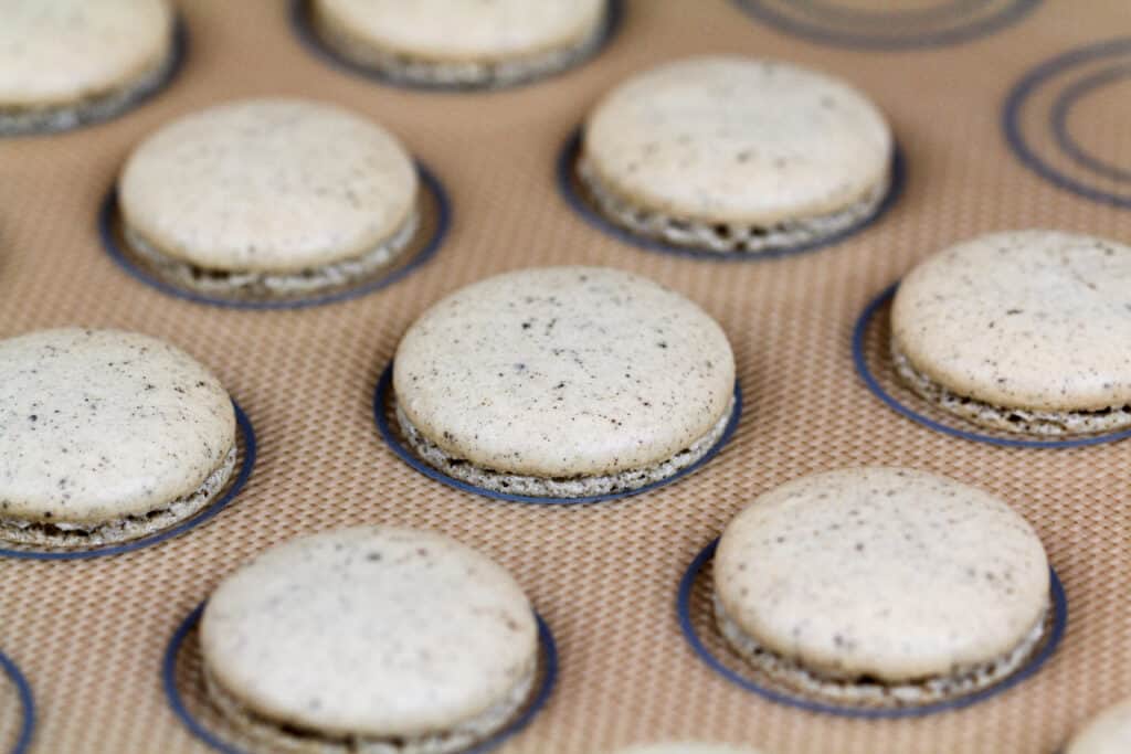 image of cookies and cream shells baked on a silpat mat