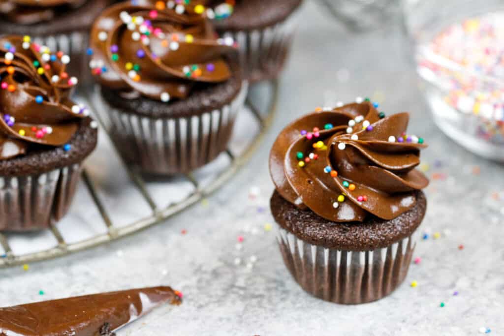 image of an adorable mini chocolate cupcake
