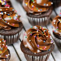 image of mini chocolate cupcakes frosted with a chocolate buttercream and topped with nonpareil sprinkles