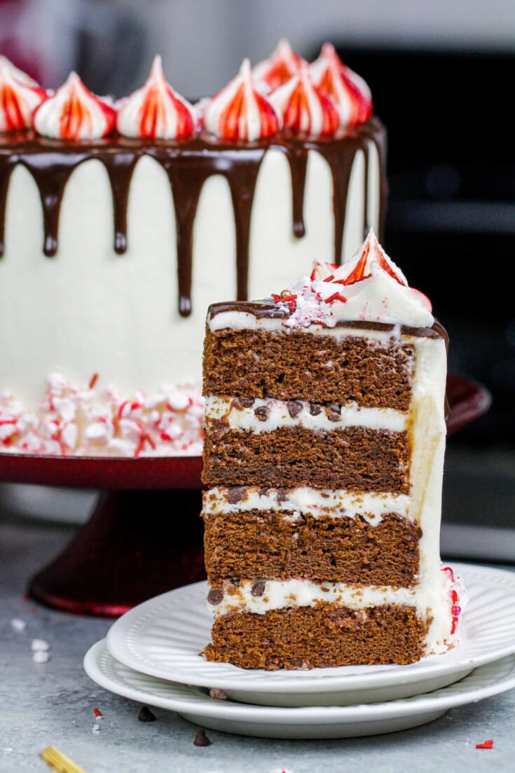 image of peppermint mocha cake with white chocolate buttercream