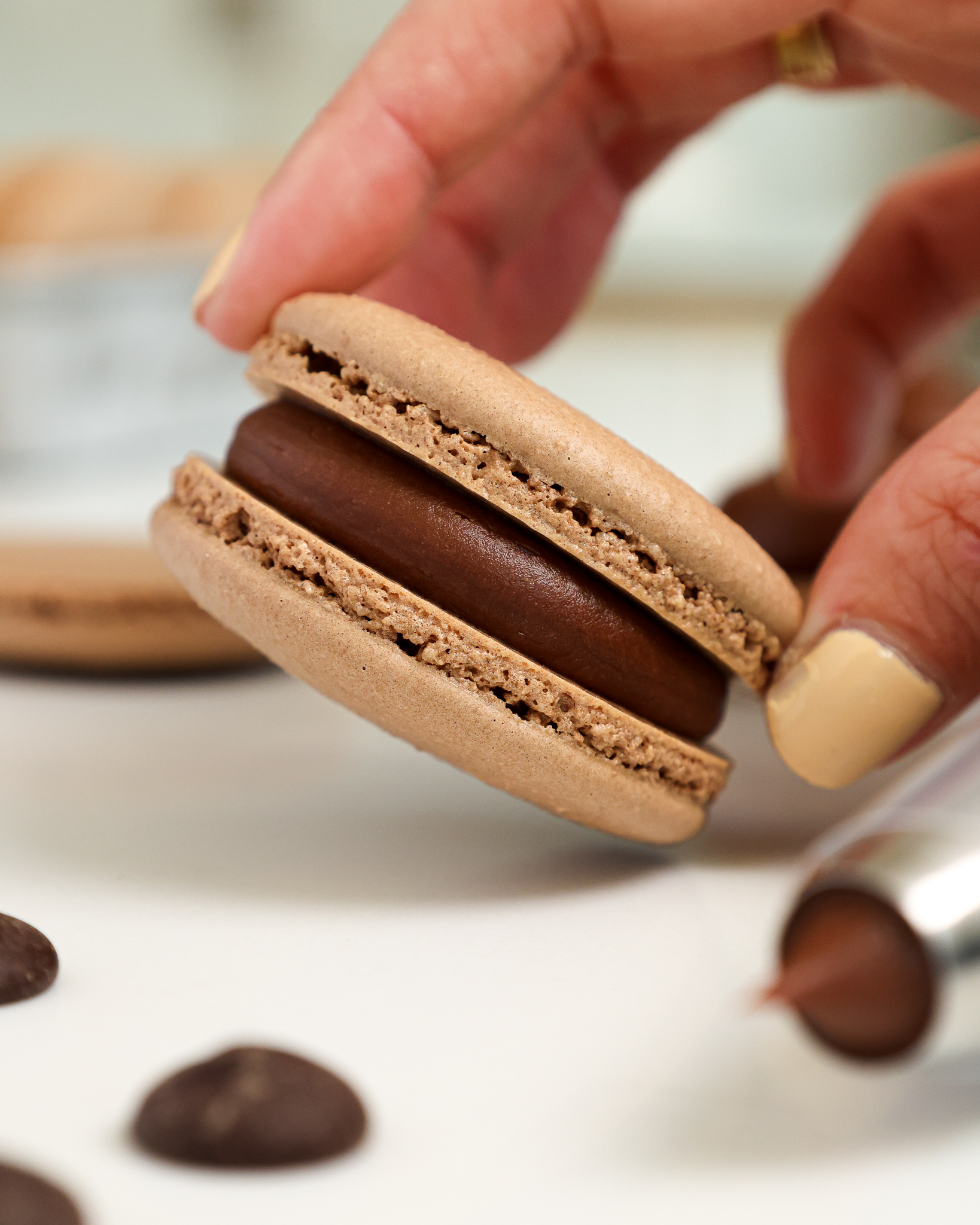 image of a french chocolate macaron being filled with a semi sweet chocolate ganache