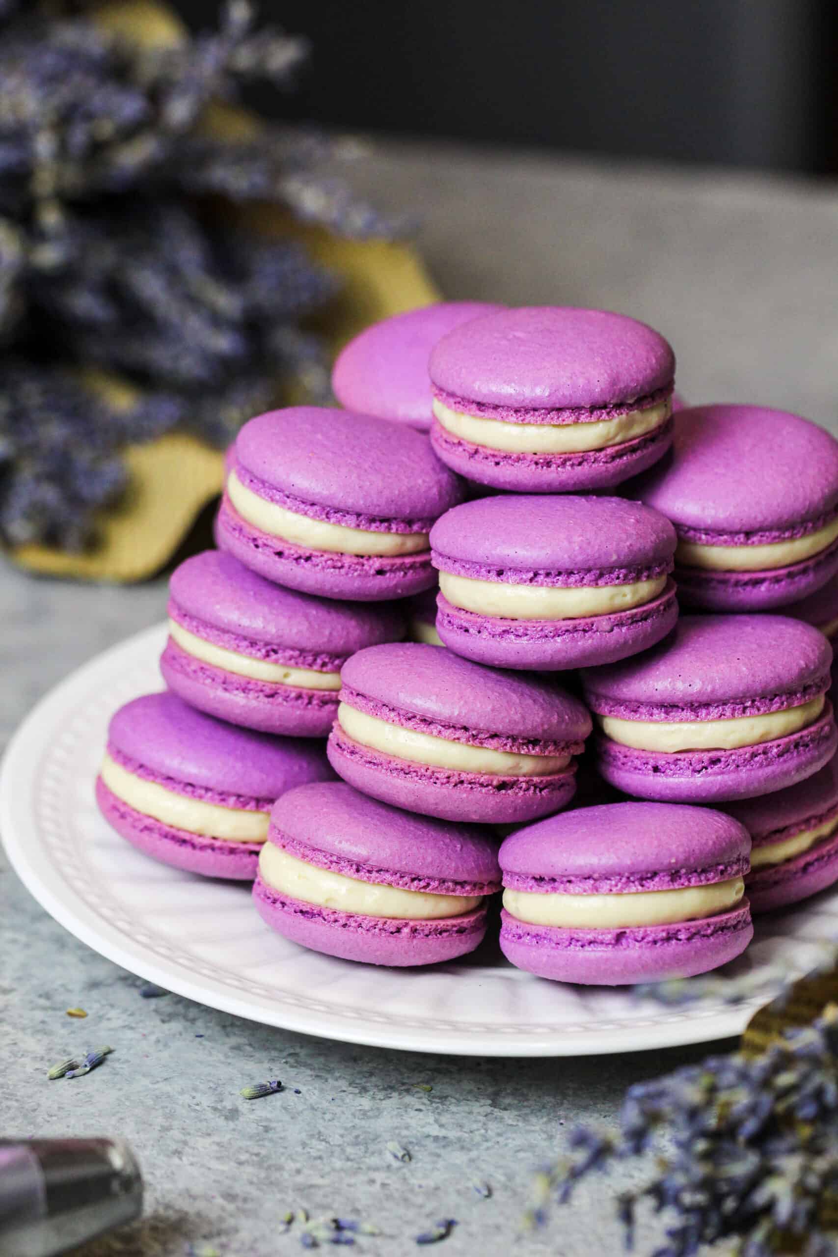 lavender-macarons-filled-with-honey-lavender-buttercream