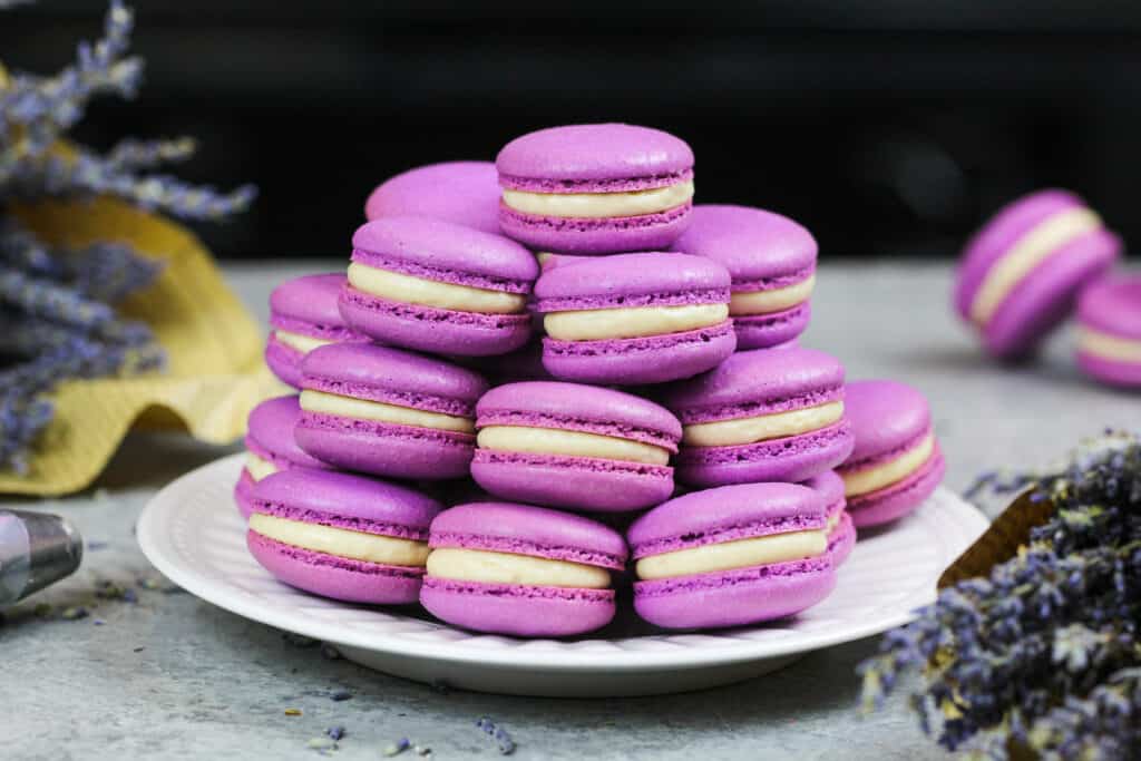 image of french lavender macarons filled with honey lavender buttercream