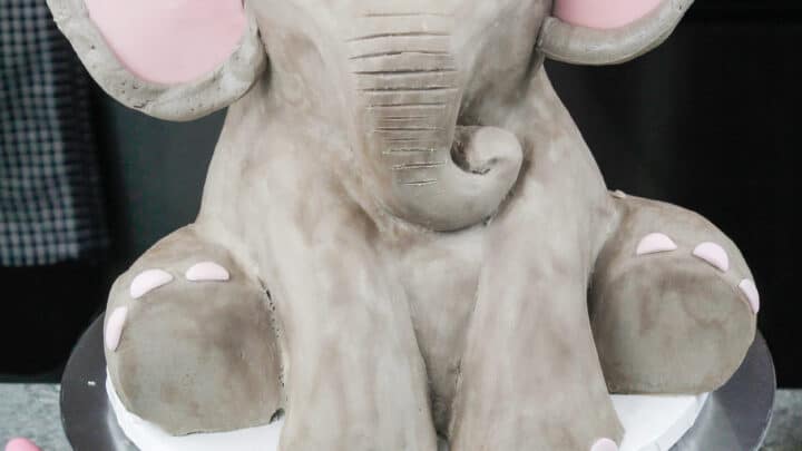 Rosy Elephant Cake| Order Rosy Elephant Cake online | Tfcakes