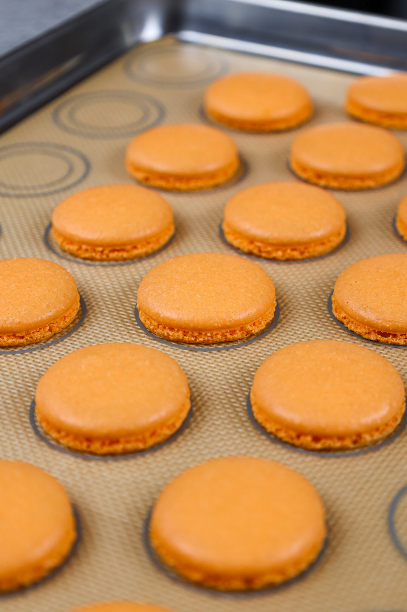 Orange Macarons: Easy Step by Step Recipe - Chelsweets