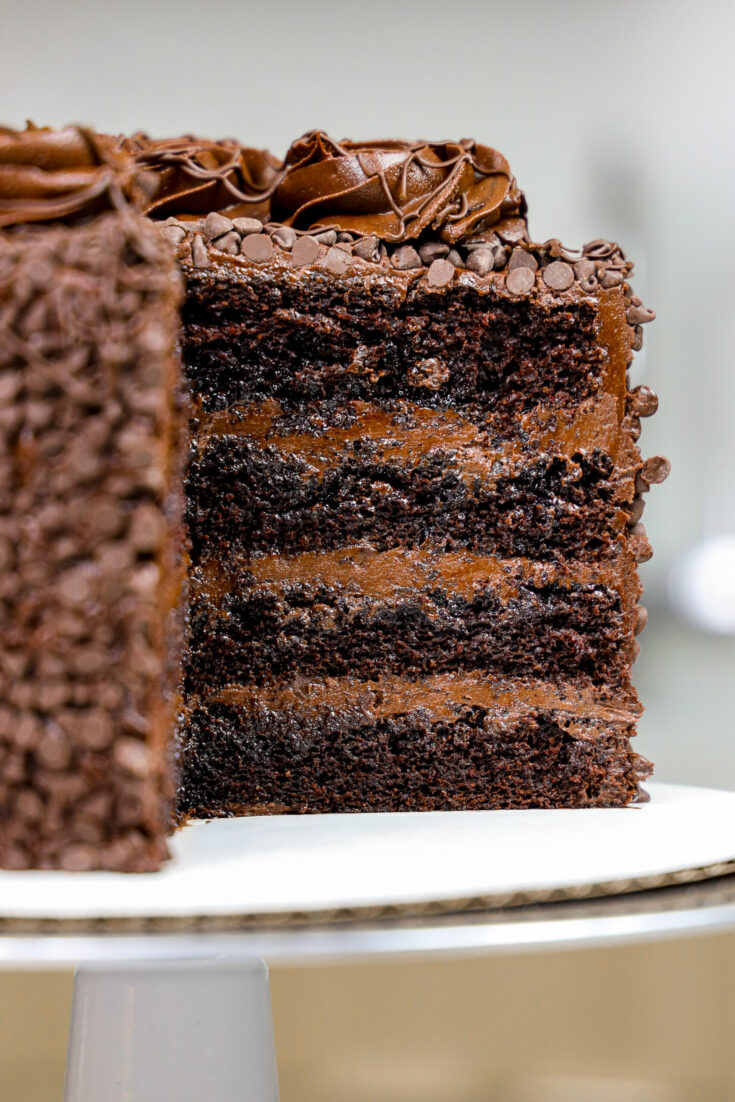 image of a death by chocolate cake made with moist chocolate cake layers, decadent dark chocolate buttercream, and coated with mini chocolate chips