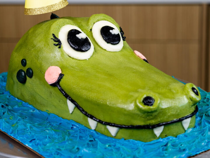 Kricky cakes and airbrush cake decorating: realistic alligator cake  tutorial - YouTube