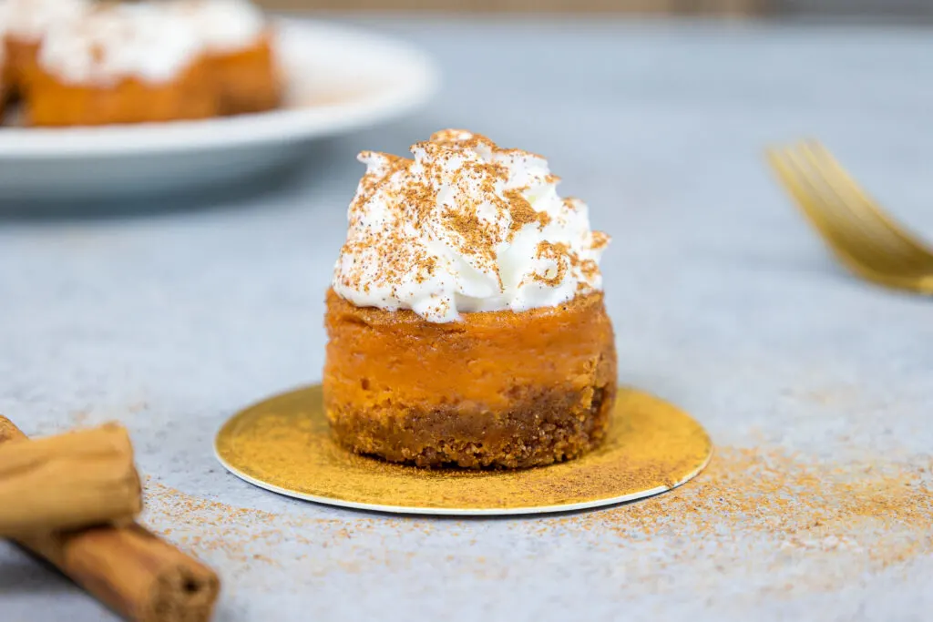 image of a mini pumpkin cheesecake topped with whipped cream and dusted with cinnamon