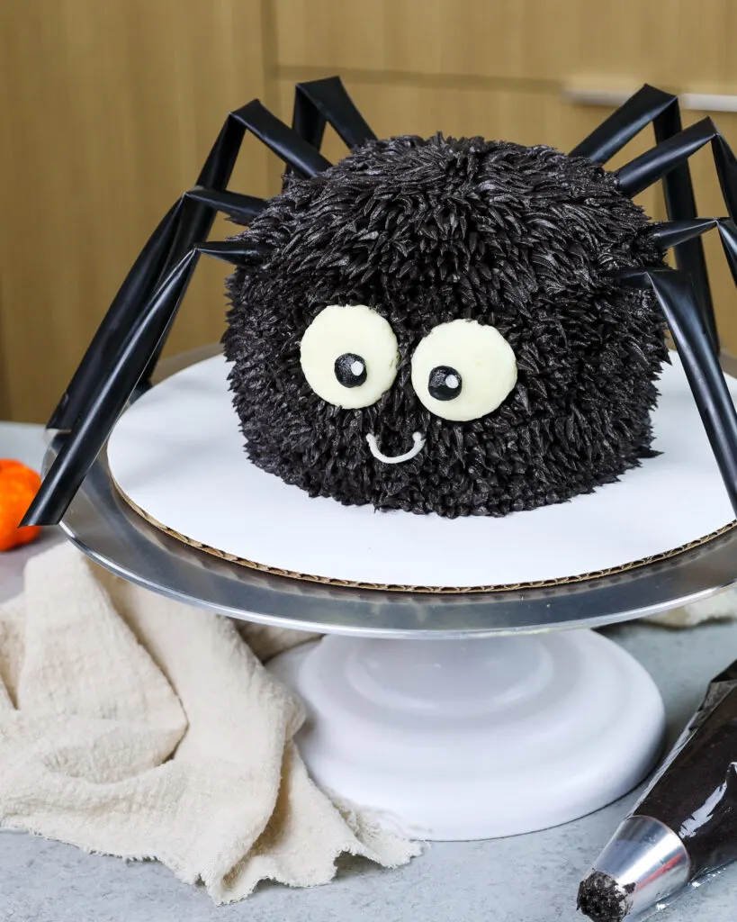 image of a cute and easy spider cake made for halloween