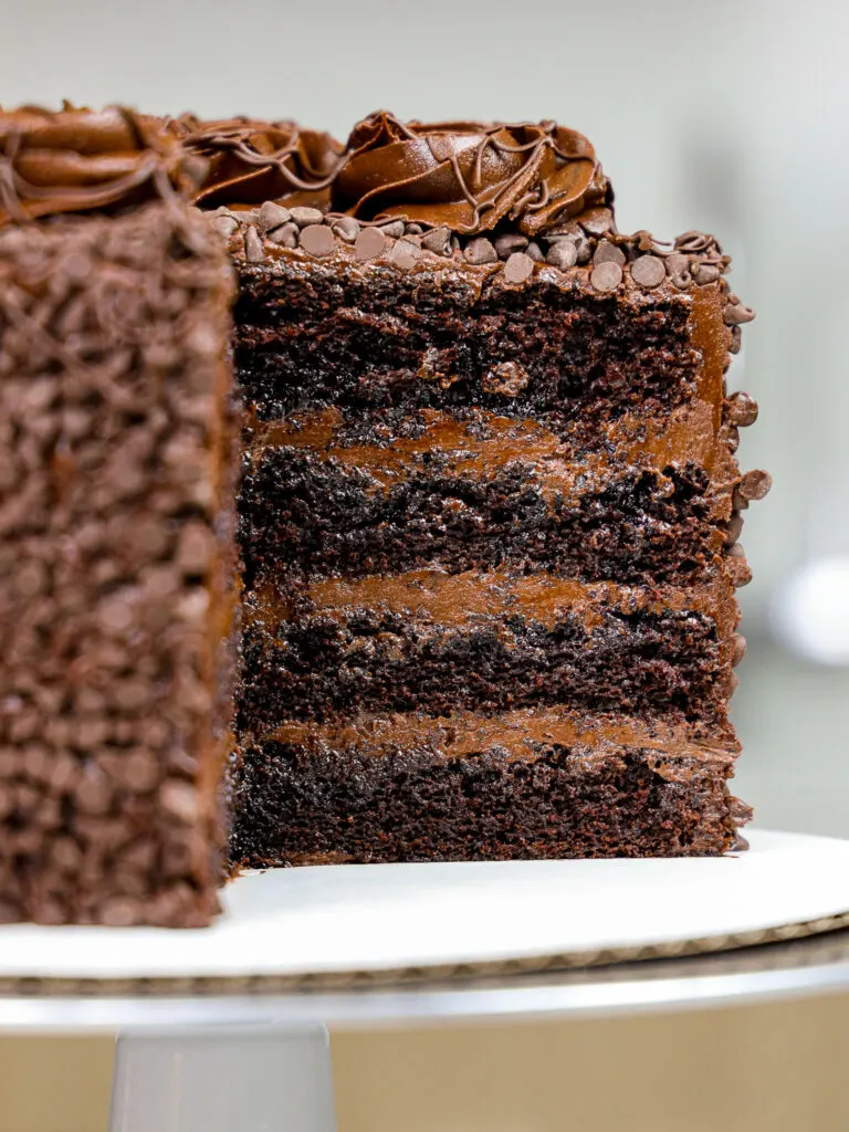 image of a death by chocolate cake made with moist chocolate cake layers, decadent dark chocolate buttercream, and coated with mini chocolate chips