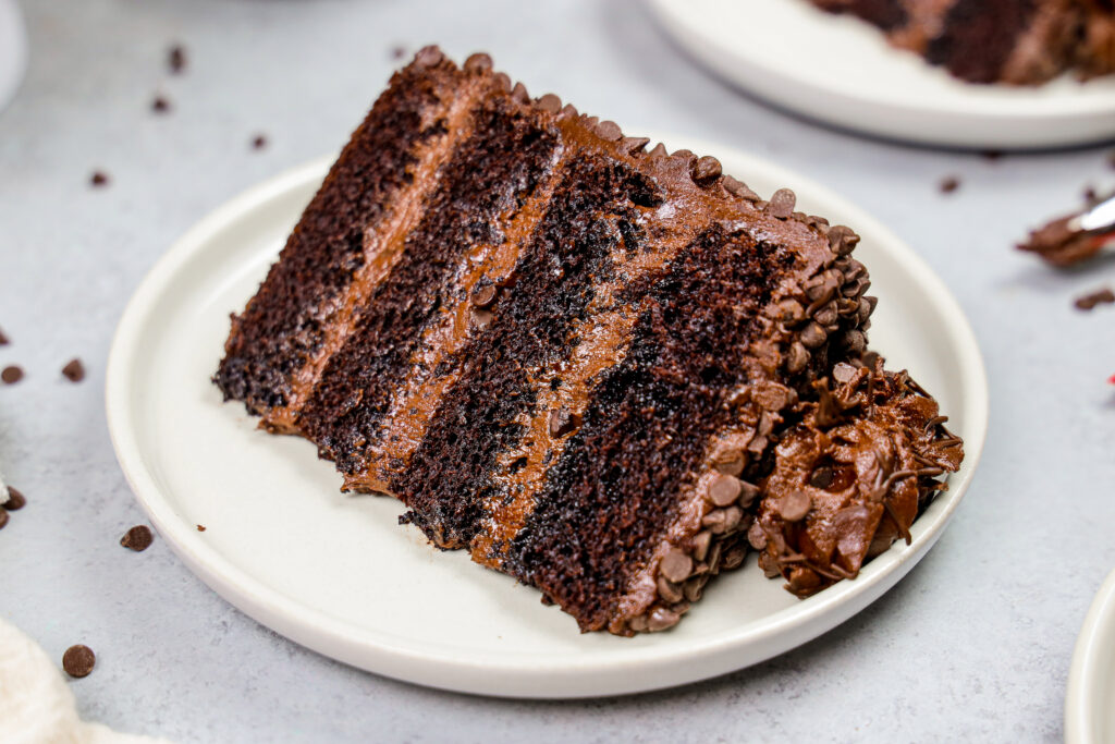 image of a slice of death by chocolate cake made with moist chocolate cake layers, decadent dark chocolate buttercream, and coated with mini chocolate chips on a plate