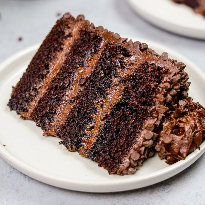 image of a slice of death by chocolate cake made with moist chocolate cake layers, decadent dark chocolate buttercream, and coated with mini chocolate chips on a plate