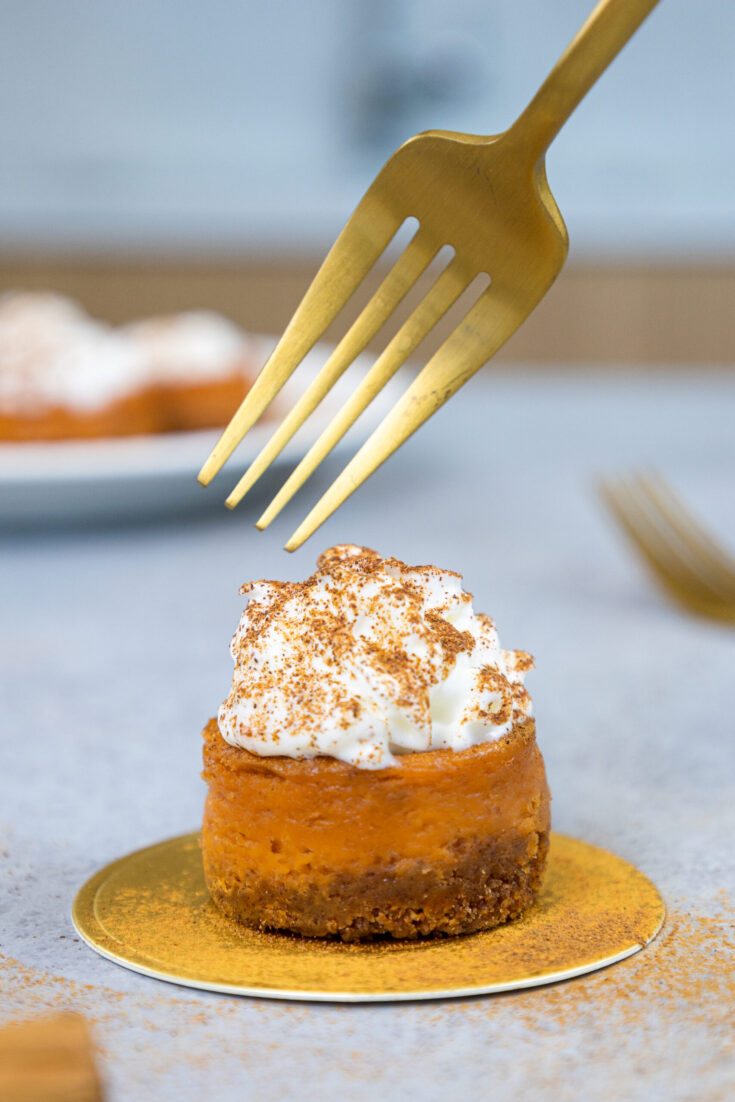 image of a mini pumpkin cheesecake topped with whipped cream and a dusting of cinnamon