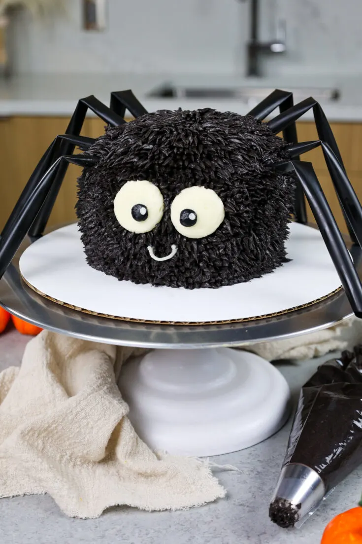 image of a cute halloween spider cake made with chocolate cake layers and chocolate buttercream frosting