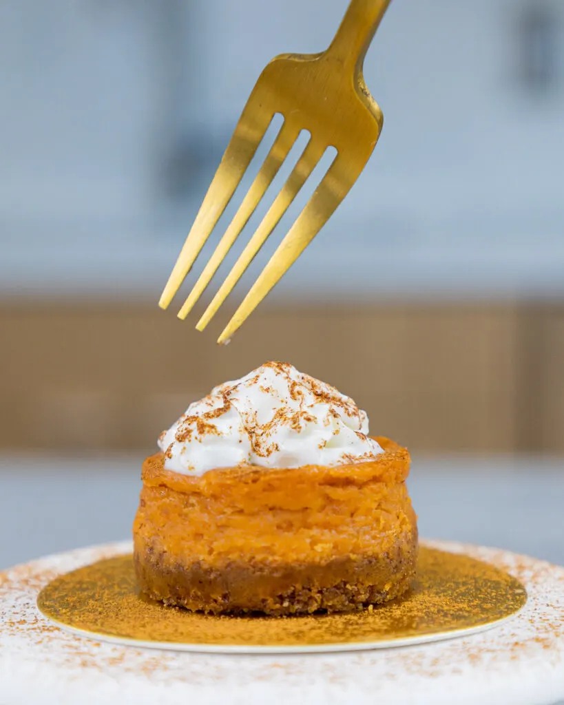image of a mini pumpkin cheesecake topped with whipped cream and a dusting of cinnamon