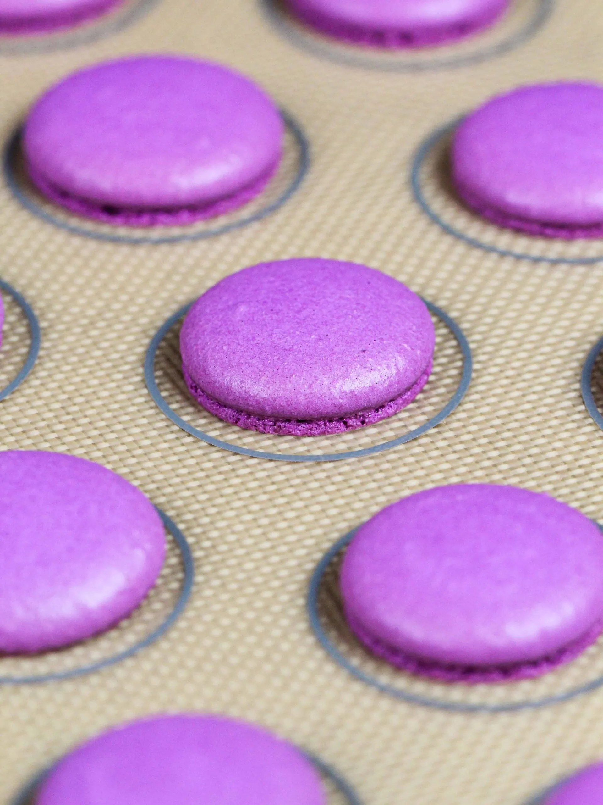 image of purple french macaron shells that have been baked and developed perfect feet