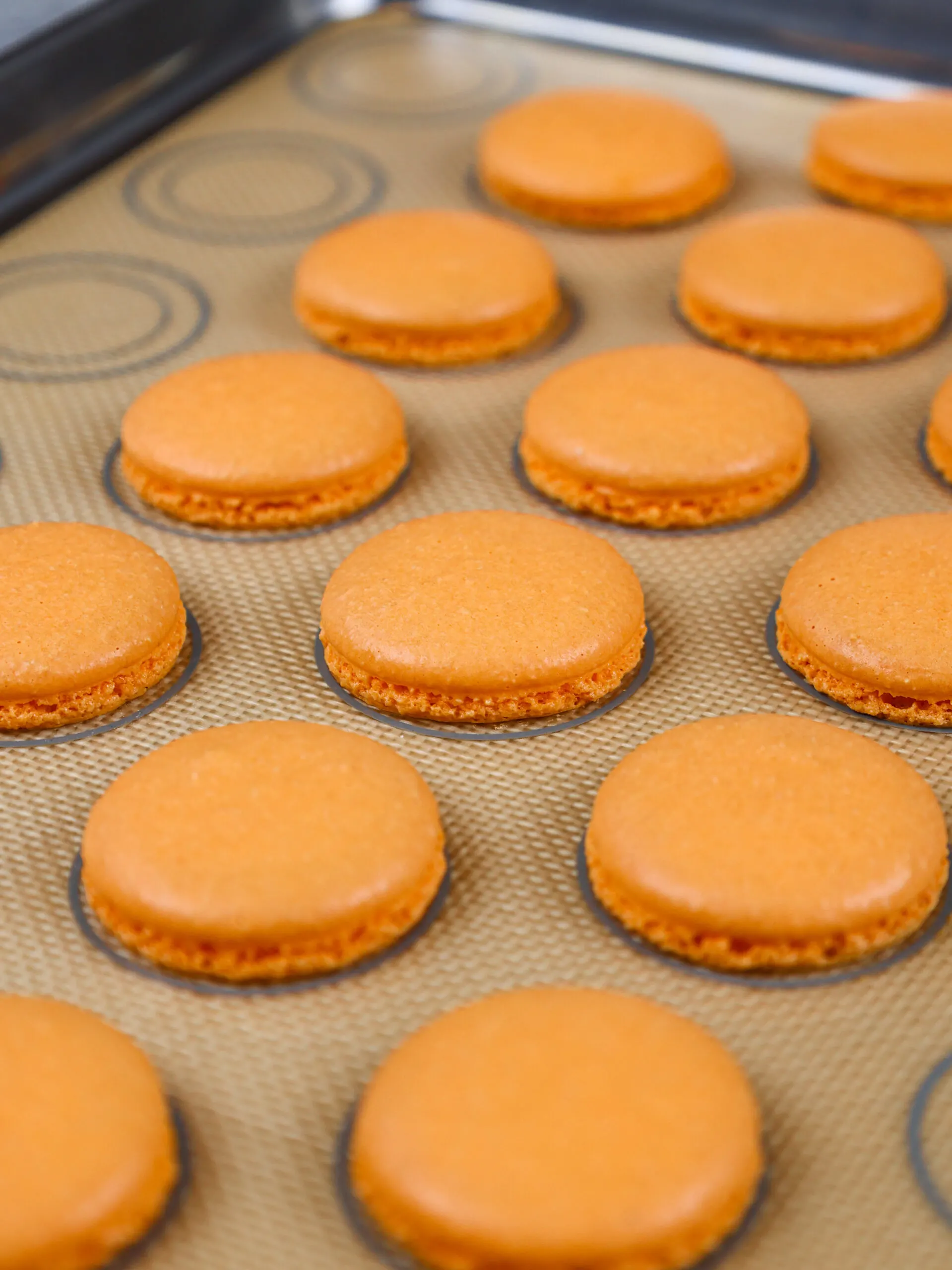 image of orange macaron shells that have been baked and have proper feet