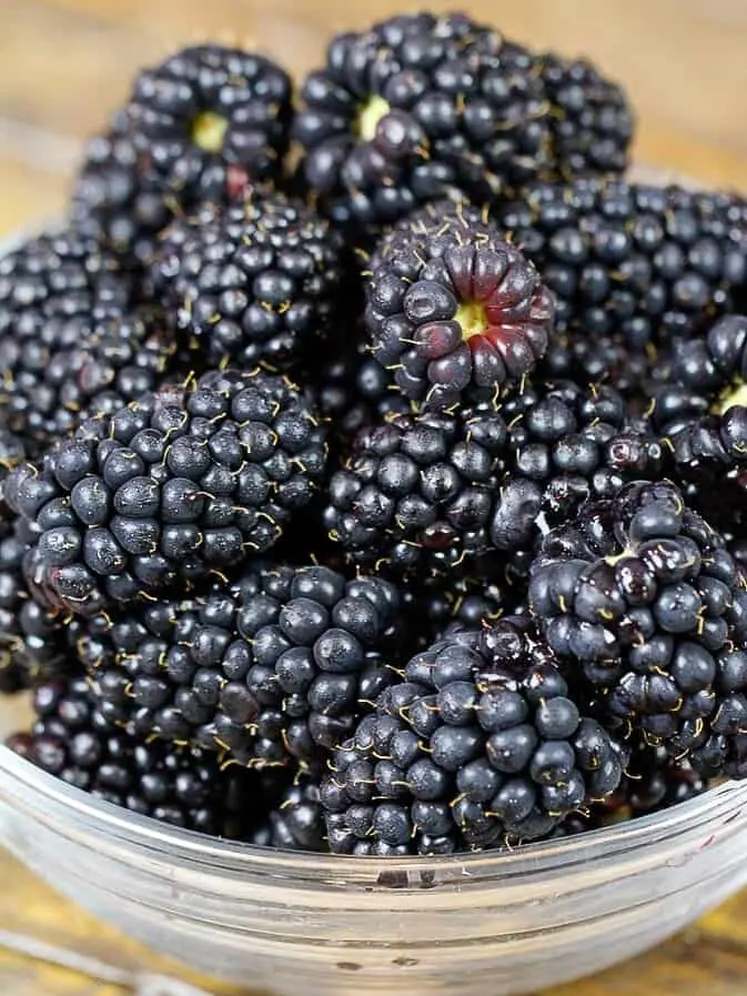 image of fresh blackberries in a bowl