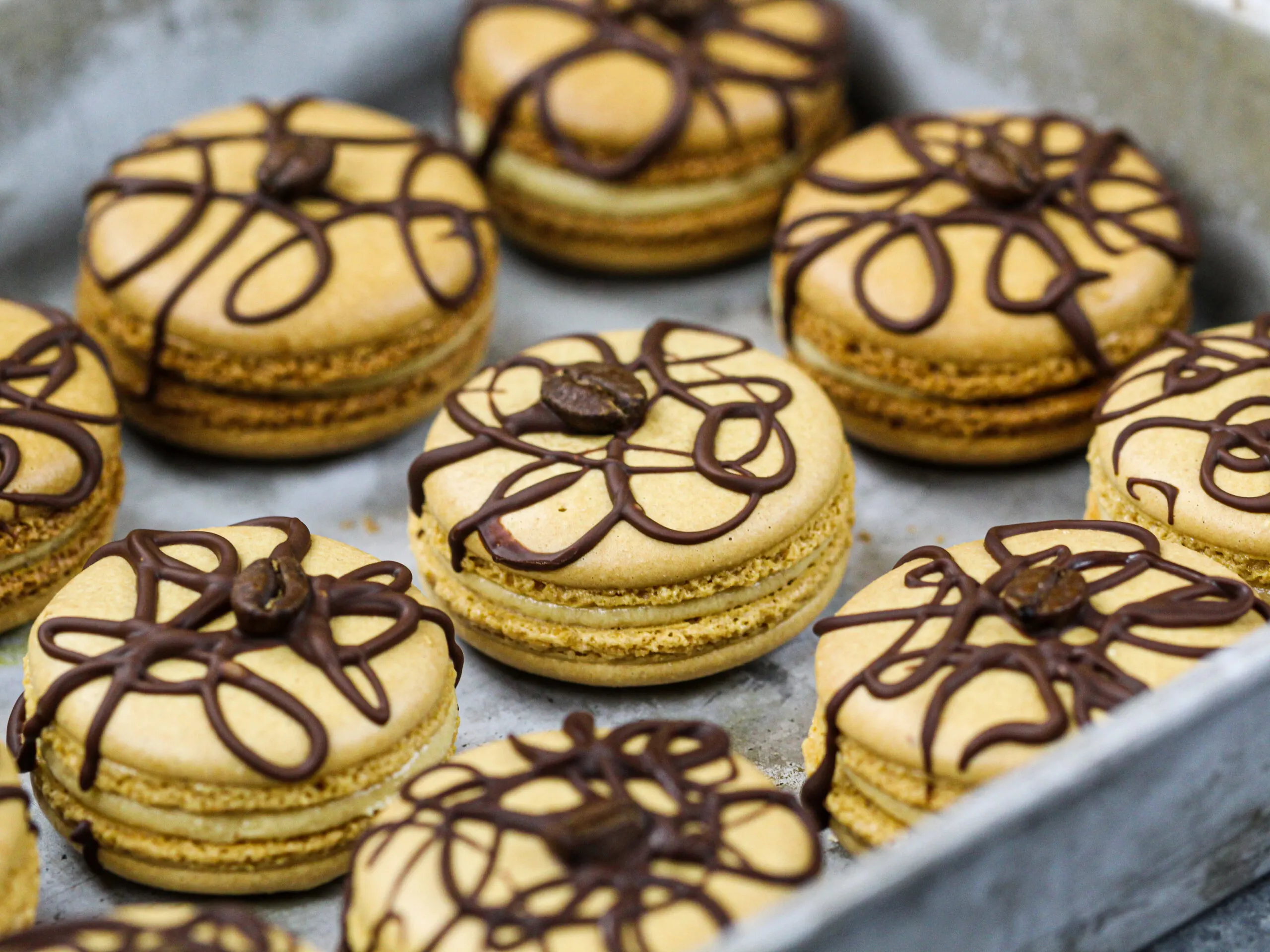 image of coffee macarons filled with coffee buttercream and decorated with a drizzle of dark chocolate and a coffee bean