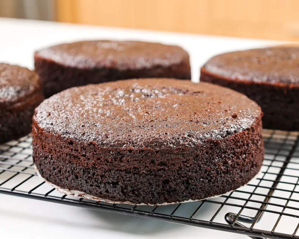image of moist, 6-inch dark chocolate cake layers that are cooling on a wire rack